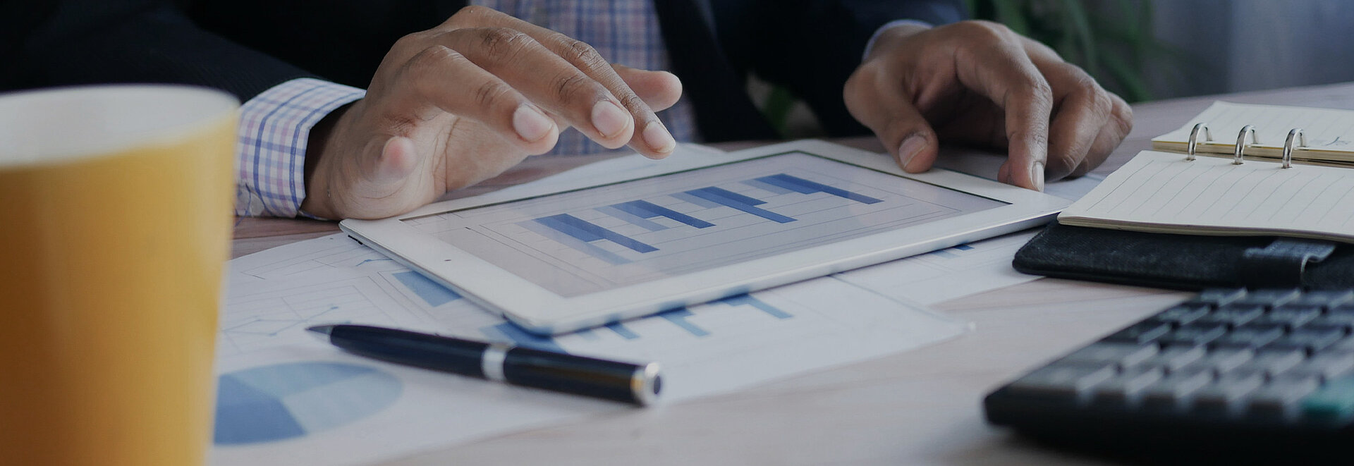 Person schaut sich ein Tablet mit Statistiken an